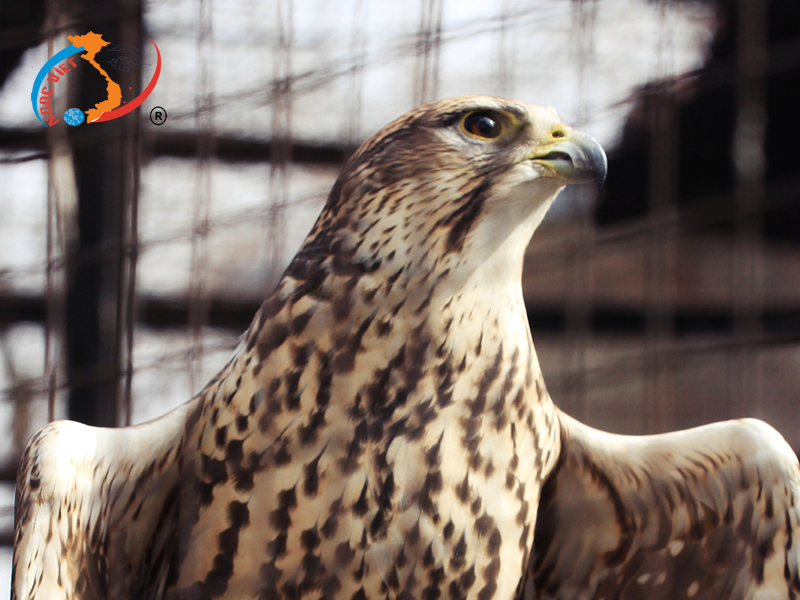 Ngỡ ngàng vẻ đẹp kỳ diệu của mùa xuân Kazakhstan Ngỡ ngàng vẻ đẹp kỳ diệu của mùa xuân Kazakhstan