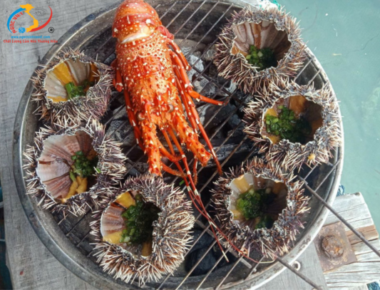 TOUR ĐẢO PHÚ QUÝ - MALDIVES VIỆT NAM 3N2Đ - XE LIMOUSINE GHẾ VIP