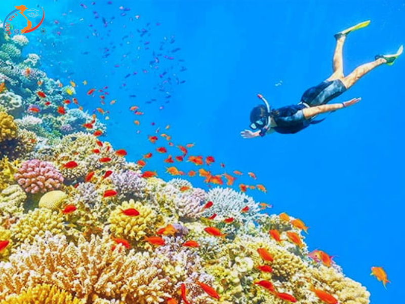 KHÁM PHÁ ĐẢO BÌNH HƯNG – VỊNH VĨNH HY