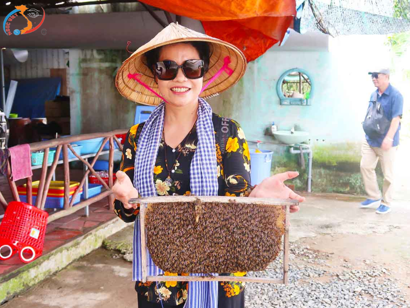 MỸ THO - CẦN THƠ - SÓC TRĂNG - BẠC LIÊU - CÀ MAU